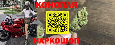 гашик Можга