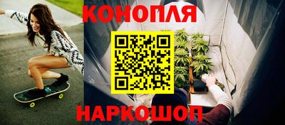гашик Можга