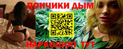 гашик Можга